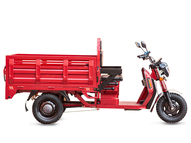 Электротрицикл Rutrike Антей Pro 1500 60V1200W
