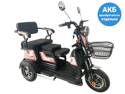 E-trike TRANSFORMER