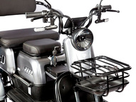 Электротрицикл Rutrike Бумеранг (красный)