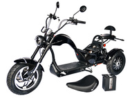 Электротрицикл SKYBOARD Elbrus Chopper-4000 Harrow