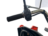 Электротрицикл WHITE SIBERIA SIBTRIKE CARGO 1.6