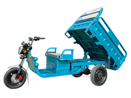 Электротрицикл Rockwild Cargo C6