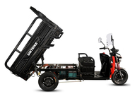 Электротрицикл WHITE SIBERIA SIBTRIKE CARGO 1.5