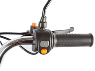 Электротрицикл Gelbert Beta 48V/60V 800Вт (бежевый)