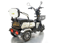 Электротрицикл GreenCamel Фродо X7, красный (60V 500W) дифференциал