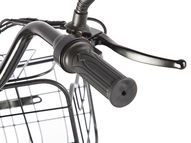 Электровелосипед GREEN CITY e-ALFA Trike (синий)