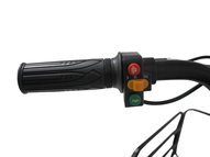 Электрический трицикл фэтбайк GreenCamel Трайк-F (R26FAT 1000W 48V 20.3Ah)
