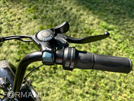 Электрический трицикл фэтбайк GreenCamel Трайк-F20 (500W 15Ah), Черный