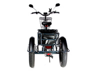 Электрический трицикл фэтбайк E-motions Panda 20 (750W 15Ah)