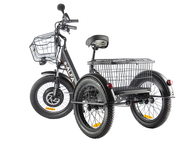 Электровелосипед GREEN CITY e-ALFA Trike (синий)
