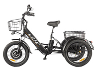 Электровелосипед GREEN CITY e-ALFA Trike (синий)