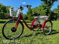 Трехколесный электровелосипед GreenCamel Трайк-24 V2 (R24 350W 48V12Ah), Синий