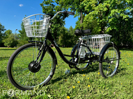 Трехколесный электровелосипед GreenCamel Трайк-24 V2 (R24 350W 48V12Ah), Синий